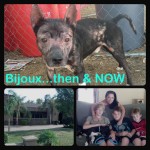 Bijoux's new family!