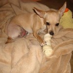 After surgery