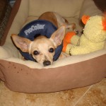 Recovering after surgery
