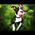 Kiya!