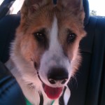 Rescue ride!