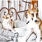 Lainey and best pal, Fonzie