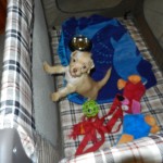 Minnie in foster