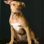 Mitzi all grown up!