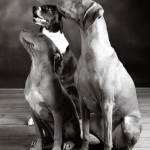Mitzi and her siblings
