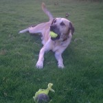 Diesel!