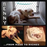 Bethany Animal Hospital