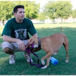 Lucky, Pit Bull Mix - Medical Animals In Need - After (34)
