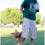 Lucky, Pit Bull Mix - Medical Animals In Need - After (35)