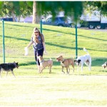 Lucky, Pit Bull Mix - Medical Animals In Need - After (40)