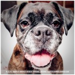 Maggie11