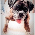 Maggie8