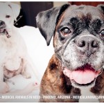 Maggie&Penny2