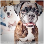 Maggie&Penny3