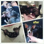Skipper, then & now!