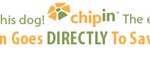 chipin1