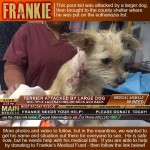Frankie