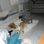 Playing!