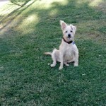 Cute Frankie!