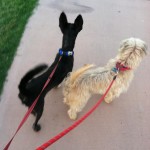 Gibbs and his foster brother