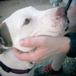 Sweet Keira