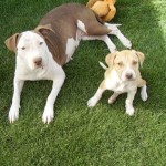 Keira & Erin with Mange