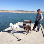 Camping fun with foster family