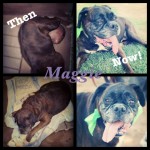 Maggie, then & now