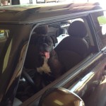 Where you going, Maggie?!