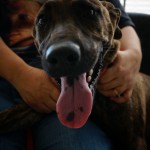 nala9