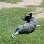 Enjoying the sun
