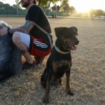 Dog park fun