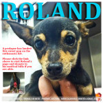 roland
