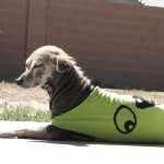 Laverne, April 15th