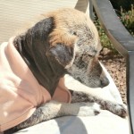 Laverne, April 26th