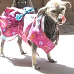 Laverne in her new dress
