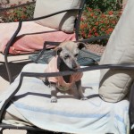 Laverne is too cute!