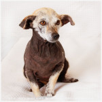 Sweet Laverne