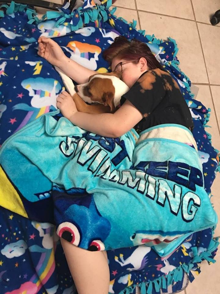 We Are Available! M.A.I.N. Medical Animals In Need, Dog Rescue in Phoenix Arizona