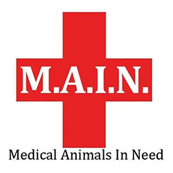 Medical Animals In Need Dog Rescue